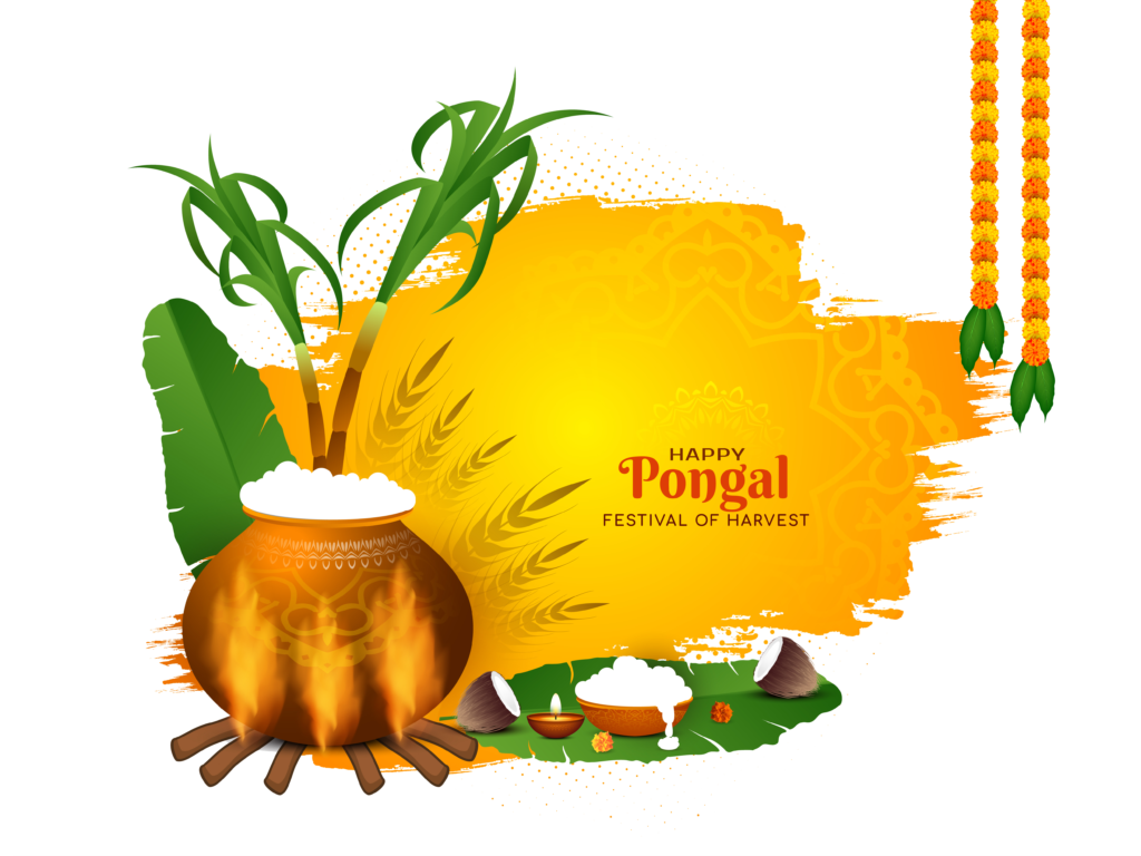 Happy Pongal Religious Festival Greeting Background Design PNG free Download kumarannetwork